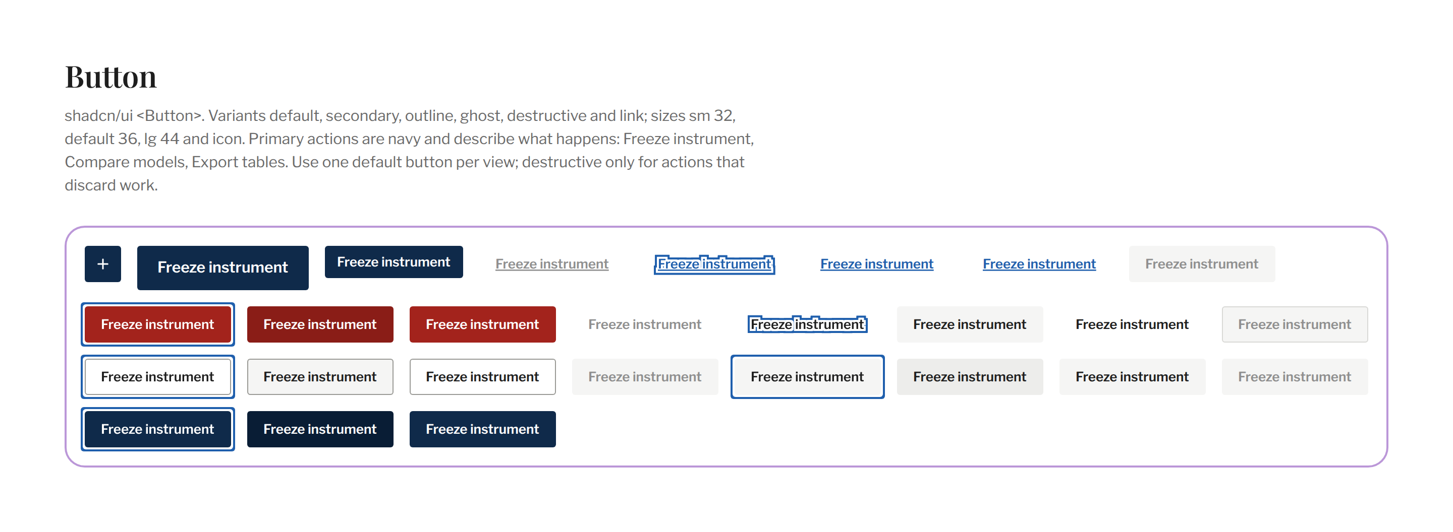 Section / Button